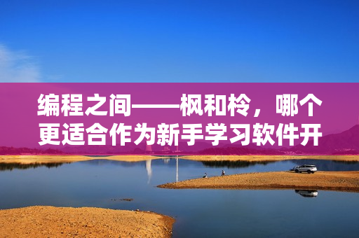編程之間——楓和柃，哪個(gè)更適合作為新手學(xué)習(xí)軟件開發(fā)的首選？