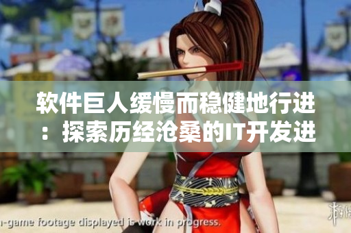 軟件巨人緩慢而穩(wěn)健地行進(jìn)：探索歷經(jīng)滄桑的IT開發(fā)進(jìn)化之路
