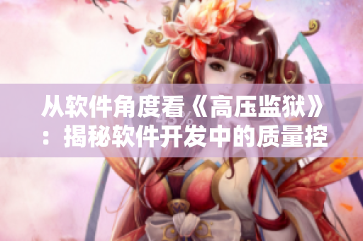 從軟件角度看《高壓監(jiān)獄》：揭秘軟件開發(fā)中的質(zhì)量控制與安全性管理