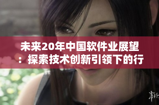 未來20年中國軟件業(yè)展望：探索技術(shù)創(chuàng)新引領(lǐng)下的行業(yè)發(fā)展前景