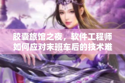 膠囊旅館之夜，軟件工程師如何應對末班車后的技術(shù)難題？——膠囊豆瓣