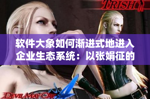 軟件大象如何漸進式地進入企業(yè)生態(tài)系統(tǒng)：以張娟征的經(jīng)驗為例