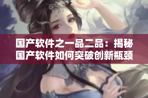國產(chǎn)軟件之一品二品：揭秘國產(chǎn)軟件如何突破創(chuàng)新瓶頸
