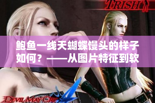 鮑魚一線天蝴蝶饅頭的樣子如何？——從圖片特征到軟件設(shè)計