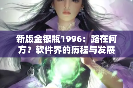新版金銀瓶1996：路在何方？軟件界的歷程與發(fā)展