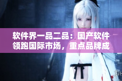軟件界一品二品：國(guó)產(chǎn)軟件領(lǐng)跑?chē)?guó)際市場(chǎng)，重點(diǎn)品牌成新寵