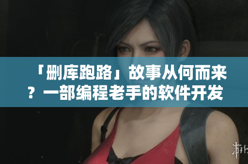 「刪庫跑路」故事從何而來？一部編程老手的軟件開發(fā)與銷售風云歷程