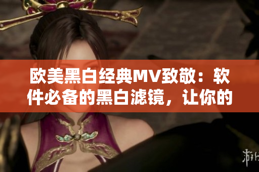 歐美黑白經(jīng)典MV致敬：軟件必備的黑白濾鏡，讓你的視頻時(shí)尚復(fù)古！