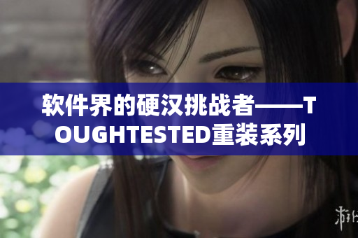 軟件界的硬漢挑戰(zhàn)者——TOUGHTESTED重裝系列