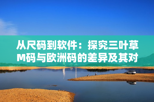 從尺碼到軟件：探究三葉草M碼與歐洲碼的差異及其對(duì)應(yīng)軟件應(yīng)用