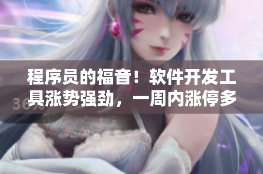 程序員的福音！軟件開發(fā)工具漲勢強勁，一周內(nèi)漲停多次