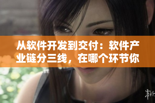 從軟件開(kāi)發(fā)到交付：軟件產(chǎn)業(yè)鏈分三線，在哪個(gè)環(huán)節(jié)你更有價(jià)值？