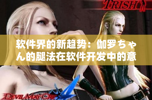 軟件界的新趨勢：伽羅ちゃん的腿法在軟件開發(fā)中的意義