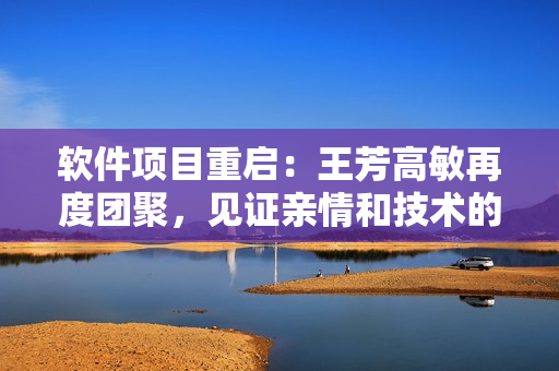 軟件項(xiàng)目重啟：王芳高敏再度團(tuán)聚，見證親情和技術(shù)的完美交匯