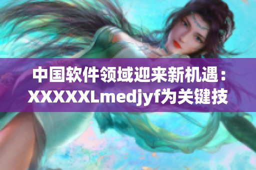 中國軟件領(lǐng)域迎來新機(jī)遇：XXXXXLmedjyf為關(guān)鍵技術(shù)掀起變革