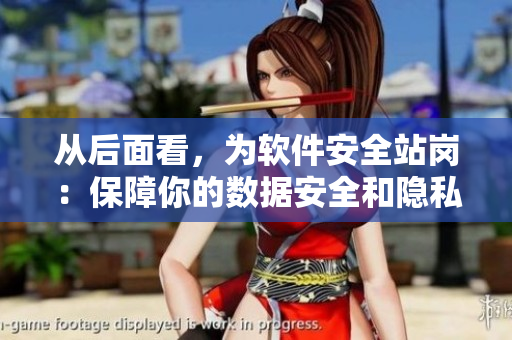 從后面看，為軟件安全站崗：保障你的數(shù)據(jù)安全和隱私的重要性