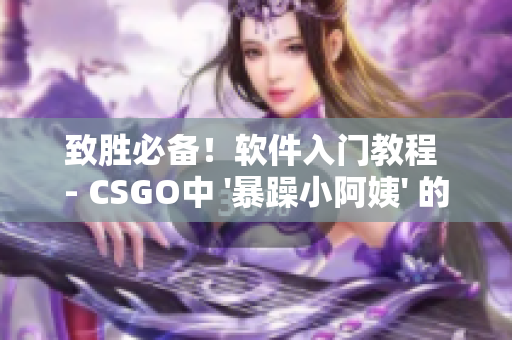 致勝必備！軟件入門教程 - CSGO中 '暴躁小阿姨' 的高效應(yīng)用