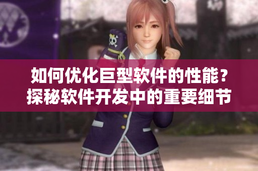 如何優(yōu)化巨型軟件的性能？探秘軟件開發(fā)中的重要細(xì)節(jié)