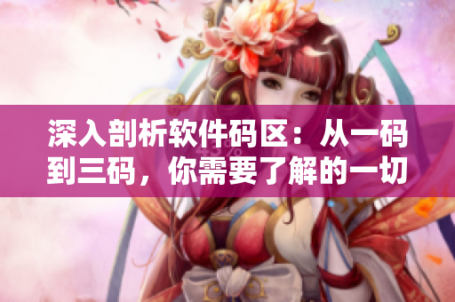 深入剖析軟件碼區(qū)：從一碼到三碼，你需要了解的一切！