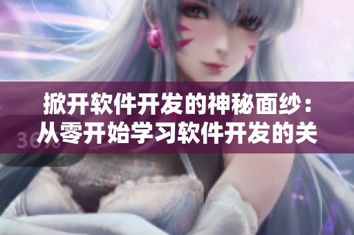掀開軟件開發(fā)的神秘面紗：從零開始學(xué)習(xí)軟件開發(fā)的關(guān)鍵詞匯
