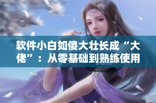 軟件小白如傻大壯長成“大佬”：從零基礎(chǔ)到熟練使用