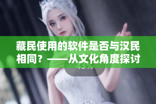 藏民使用的軟件是否與漢民相同？——從文化角度探討藏區(qū)軟件特色