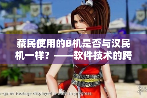 藏民使用的B機(jī)是否與漢民機(jī)一樣？——軟件技術(shù)的跨文化應(yīng)用探討
