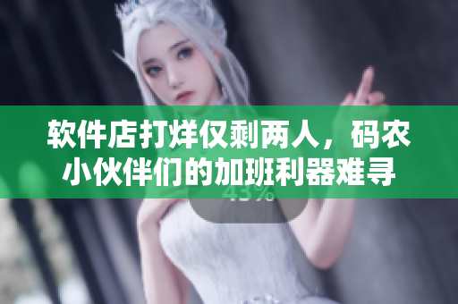軟件店打烊僅剩兩人，碼農(nóng)小伙伴們的加班利器難尋