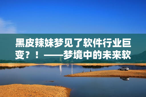 黑皮辣妹夢(mèng)見(jiàn)了軟件行業(yè)巨變？！——夢(mèng)境中的未來(lái)軟件新技術(shù)揭秘！