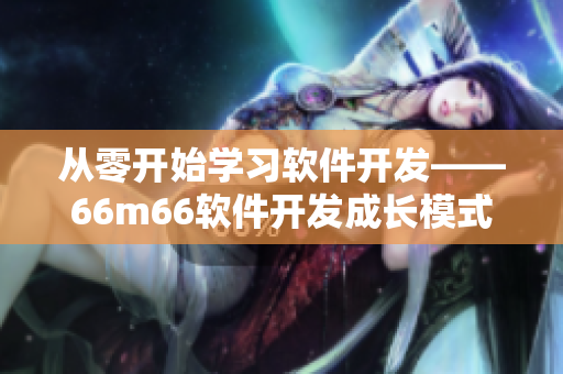 從零開始學(xué)習(xí)軟件開發(fā)——66m66軟件開發(fā)成長模式視頻-大陸4