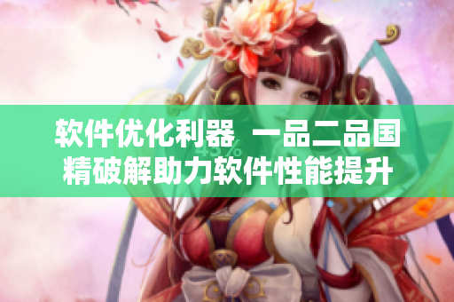 軟件優(yōu)化利器  一品二品國(guó)精破解助力軟件性能提升