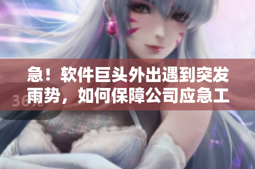 急！軟件巨頭外出遇到突發(fā)雨勢(shì)，如何保障公司應(yīng)急工作？