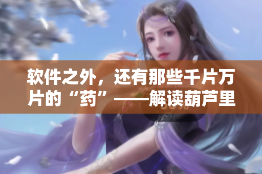 軟件之外，還有那些千片萬片的“藥”——解讀葫蘆里的“秘密”