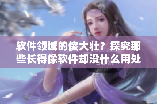 軟件領(lǐng)域的傻大壯？探究那些長得像軟件卻沒什么用處的東西