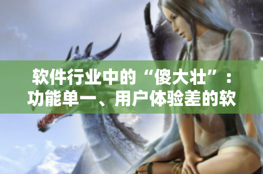 軟件行業(yè)中的“傻大壯”：功能單一、用戶體驗差的軟件存在問題
