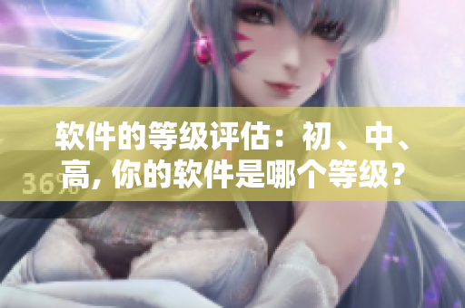 軟件的等級(jí)評(píng)估：初、中、高, 你的軟件是哪個(gè)等級(jí)？