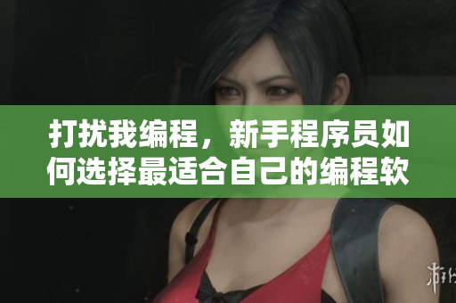 打擾我編程，新手程序員如何選擇最適合自己的編程軟件