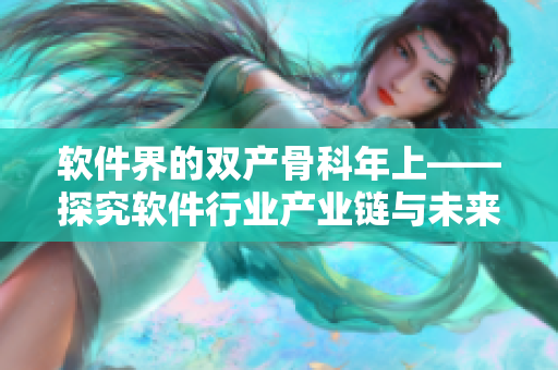軟件界的雙產(chǎn)骨科年上——探究軟件行業(yè)產(chǎn)業(yè)鏈與未來發(fā)展趨勢