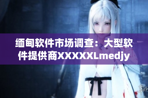 緬甸軟件市場調查：大型軟件提供商XXXXXLmedjyf占據(jù)主導位置