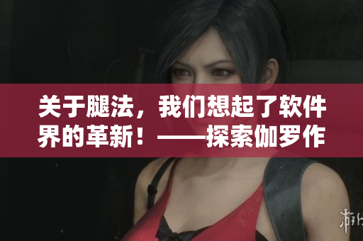 關(guān)于腿法，我們想起了軟件界的革新！——探索伽羅作為軟件概念的深層含義