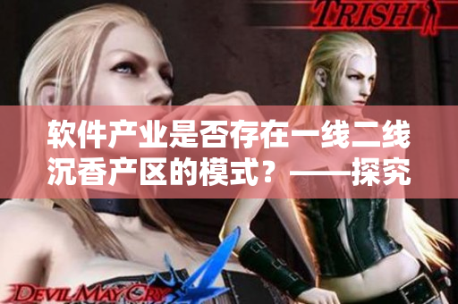 軟件產(chǎn)業(yè)是否存在一線二線沉香產(chǎn)區(qū)的模式？——探究軟件產(chǎn)業(yè)等級(jí)化分布