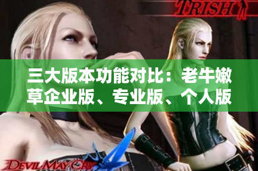 三大版本功能對(duì)比：老牛嫩草企業(yè)版、專業(yè)版、個(gè)人版