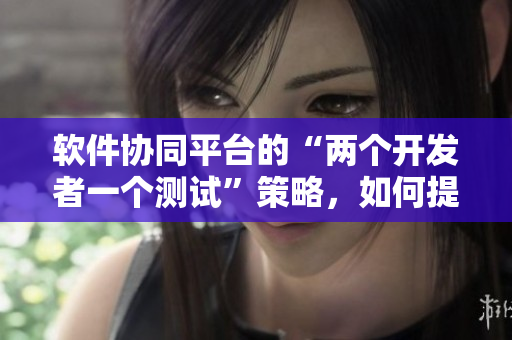 軟件協(xié)同平臺的“兩個(gè)開發(fā)者一個(gè)測試”策略，如何提高開發(fā)效率？