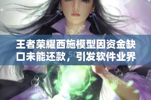 王者榮耀西施模型因資金缺口未能還款，引發(fā)軟件業(yè)界熱議