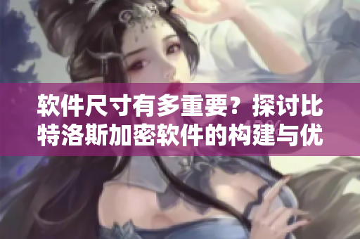 軟件尺寸有多重要？探討比特洛斯加密軟件的構(gòu)建與優(yōu)化