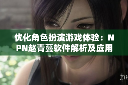 優(yōu)化角色扮演游戲體驗：NPN趙青蔓軟件解析及應(yīng)用指南