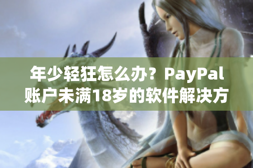 年少輕狂怎么辦？PayPal賬戶未滿18歲的軟件解決方案