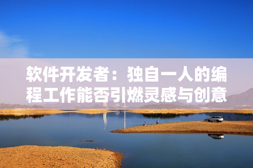軟件開(kāi)發(fā)者：獨(dú)自一人的編程工作能否引燃靈感與創(chuàng)意？