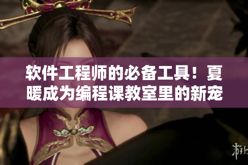 軟件工程師的必備工具！夏暖成為編程課教室里的新寵兒！