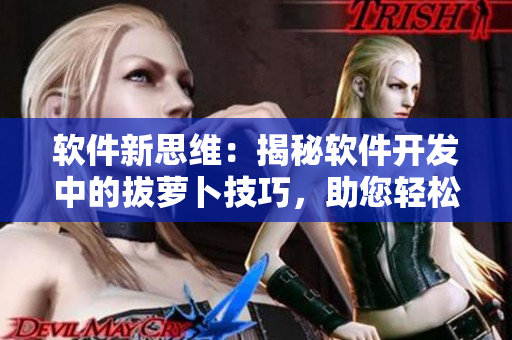 軟件新思維：揭秘軟件開發(fā)中的拔蘿卜技巧，助您輕松實現(xiàn)豆?jié){流暢運行